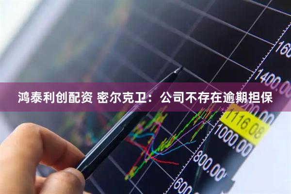 鸿泰利创配资 密尔克卫：公司不存在逾期担保