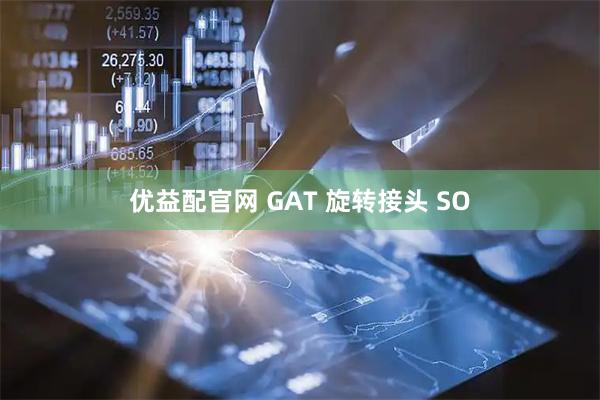 优益配官网 GAT 旋转接头 SO
